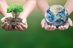 Transition ecologique